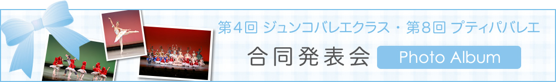 フォトアルバム：